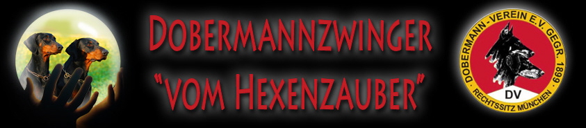 Hexenzauber_Head_rot1